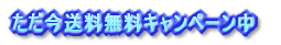 ���������������L�����y�[����